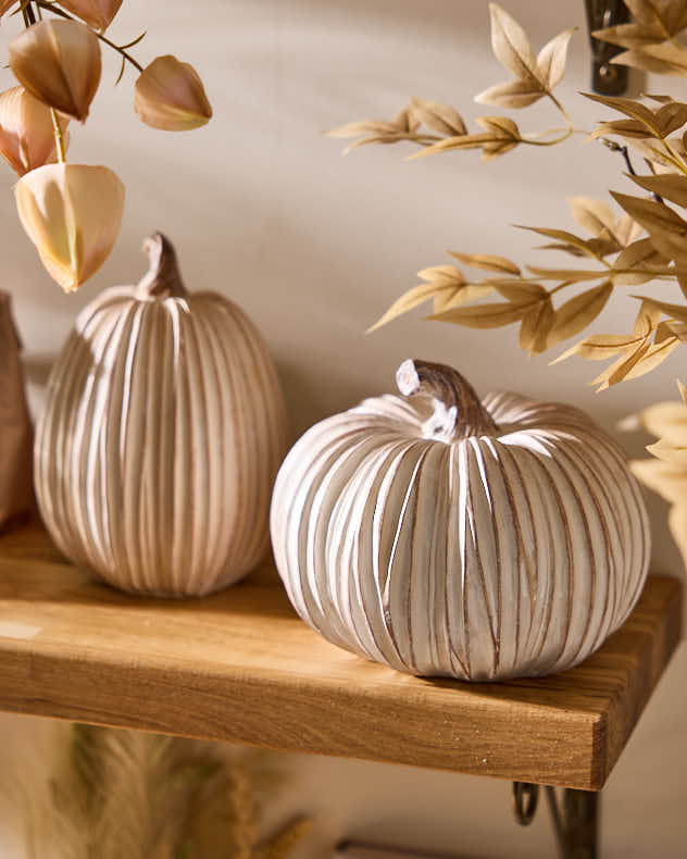 Discover Autumn