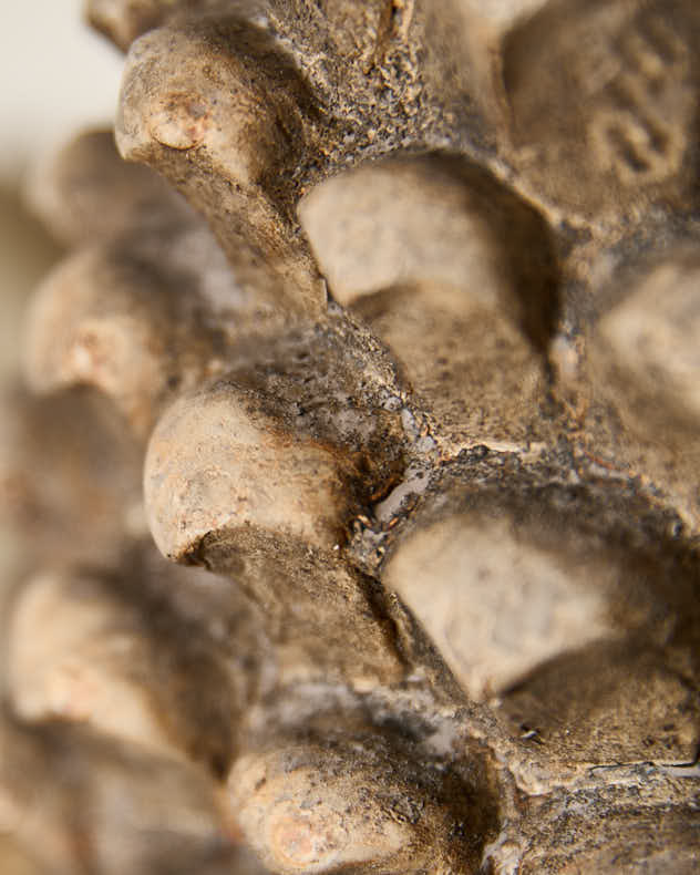 Distressed Autumn Pinecone Ornament