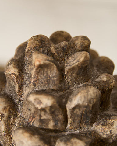 Third Image