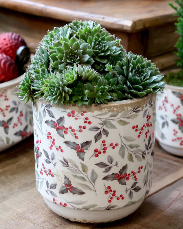 Holly and Mistletoe Ceramics Collection