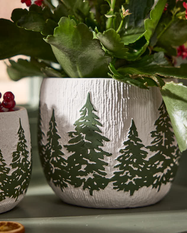 Set of 2 Nordic Pine Planters