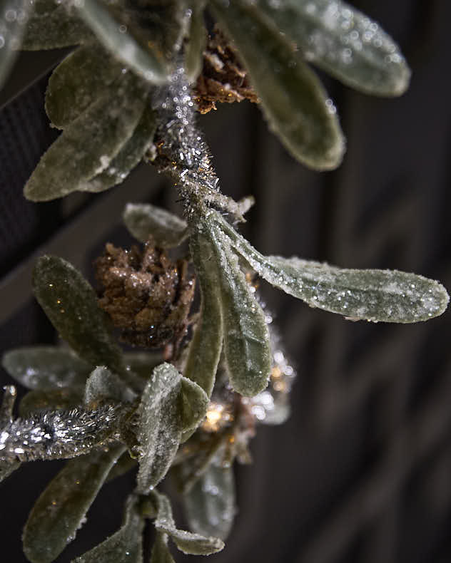 Pre-Lit Mistletoe Star Wreath