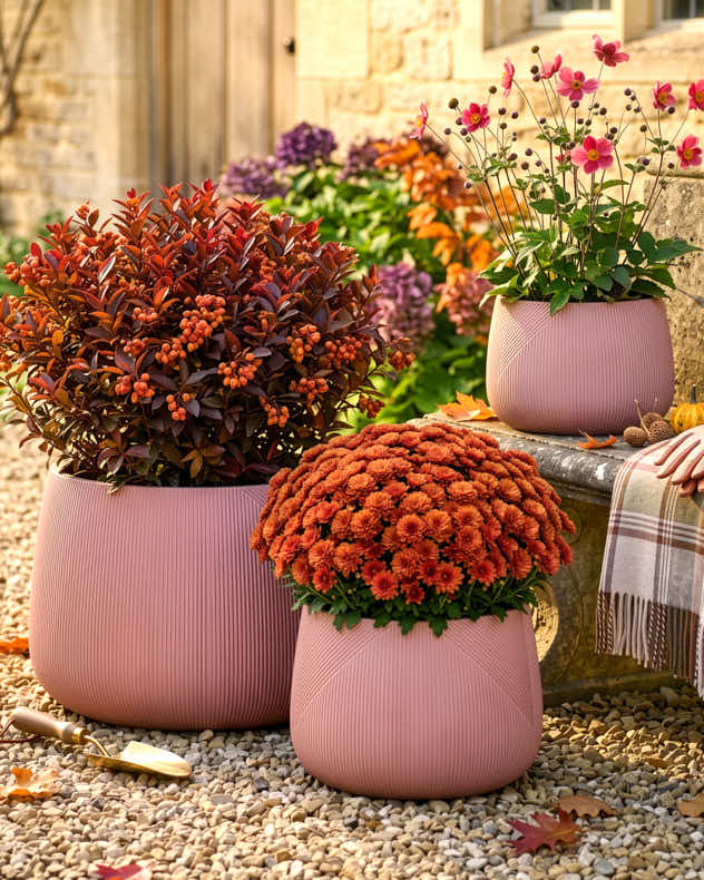 Kalo Terracotta Planter Collection