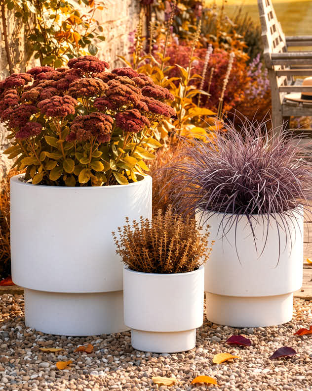 Noma Beige Planter Collection