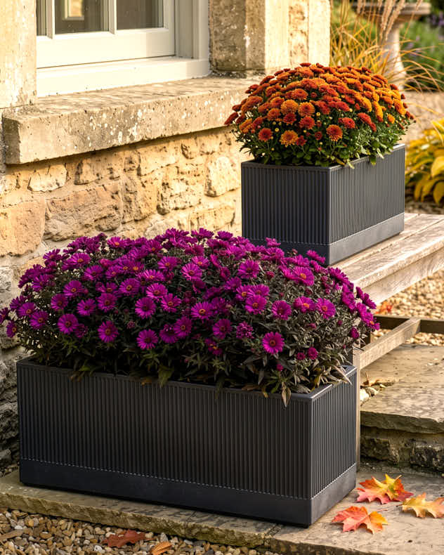 Mela Wide Black Planter Collection