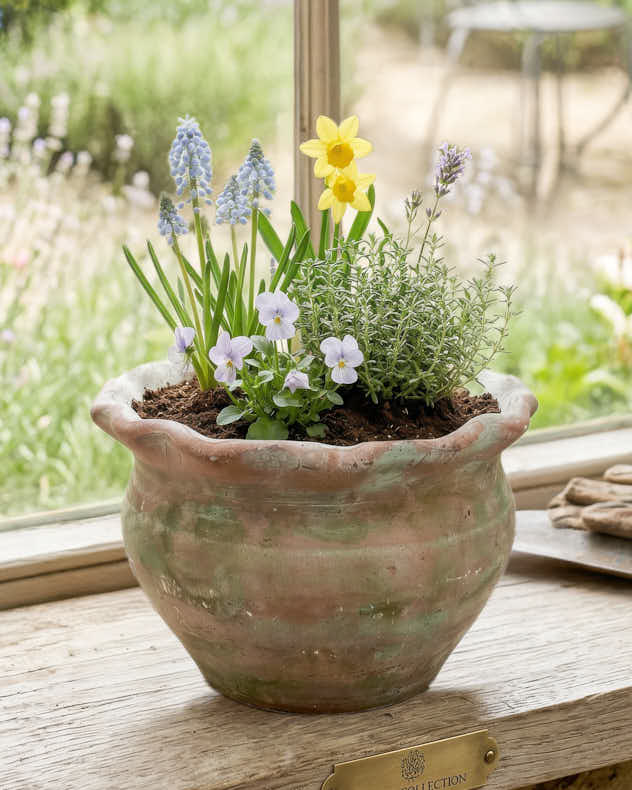 Terracotta Pie Crust Planters