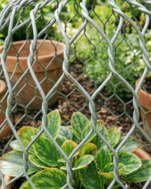 Garden Accessories - Wired Bell Garden Cloche