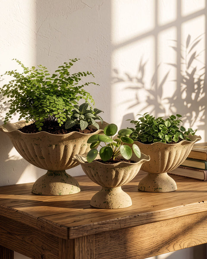 Set of 3 Wave Finish Urn Planters