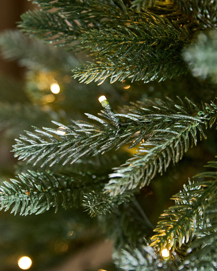 Evergreen Pre-Lit Fir Christmas Tree 6ft