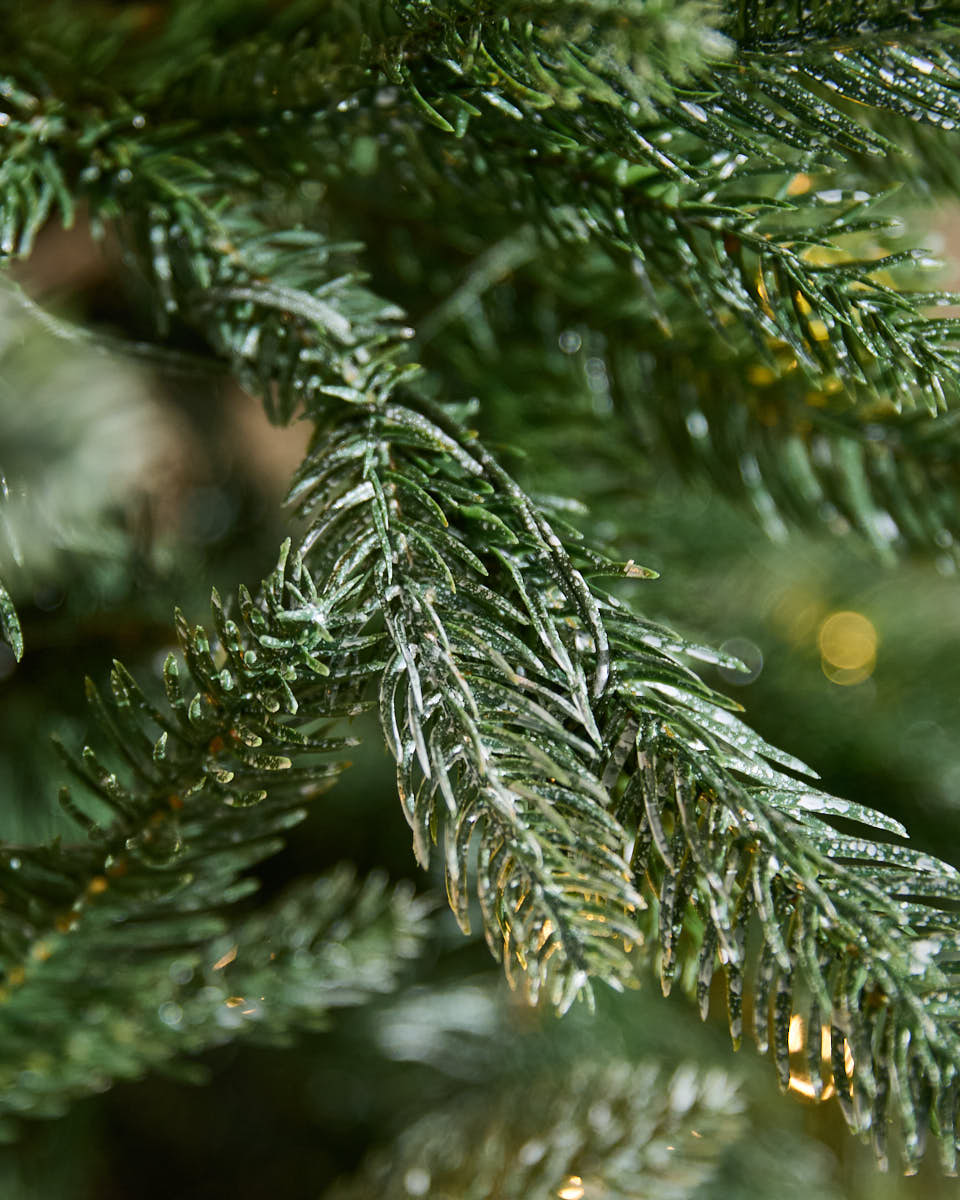 Evergreen Pre-Lit Fir Christmas Tree 6ft