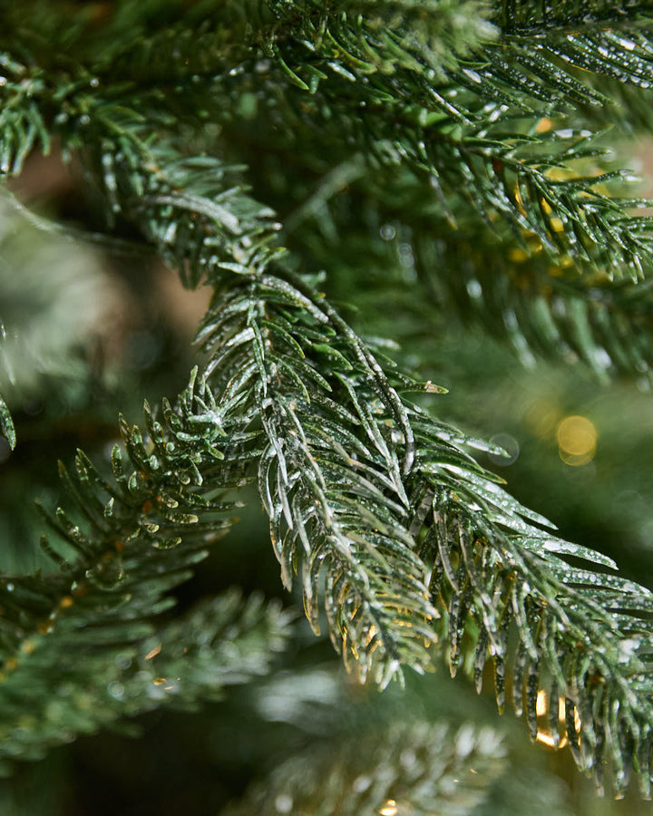 Evergreen Pre-Lit Fir Christmas Tree 6ft