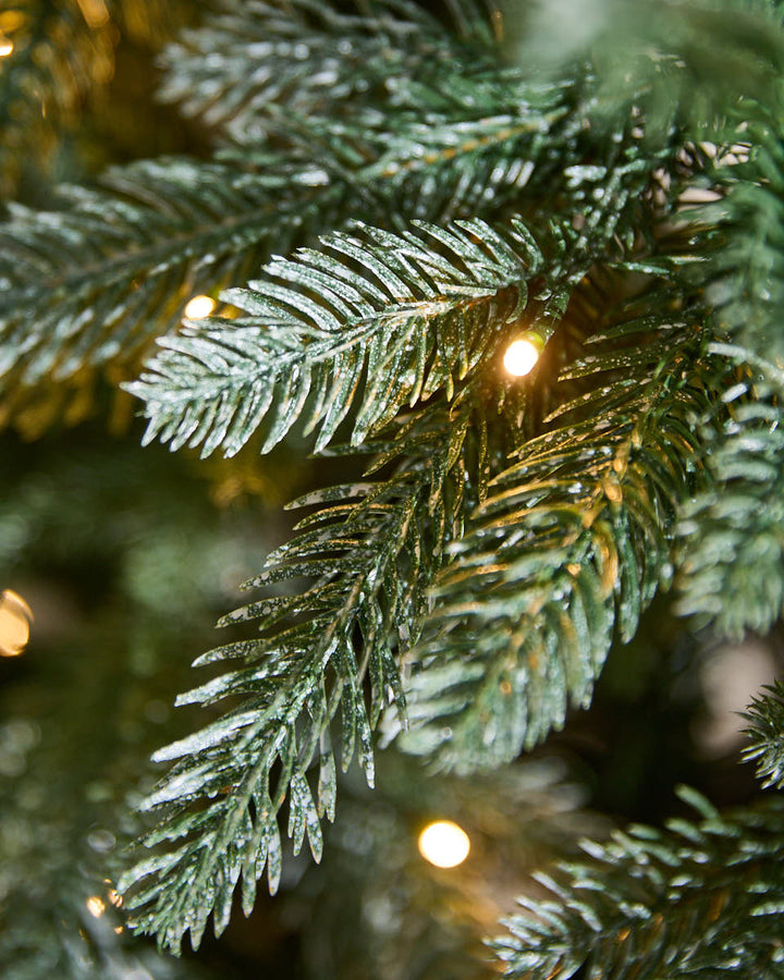 Evergreen Pre-Lit Fir Christmas Tree 6ft