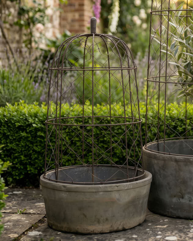 Margaux Domed Planter Collection