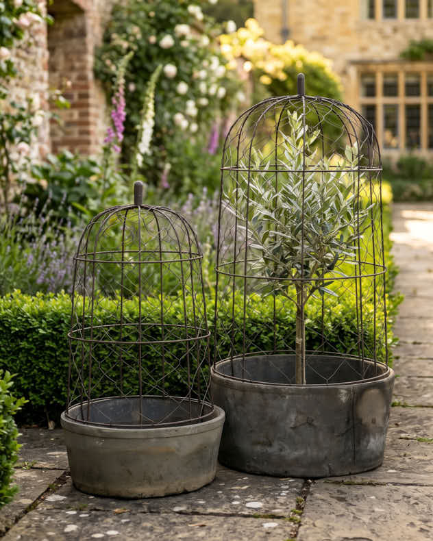 Margaux Domed Planter Collection