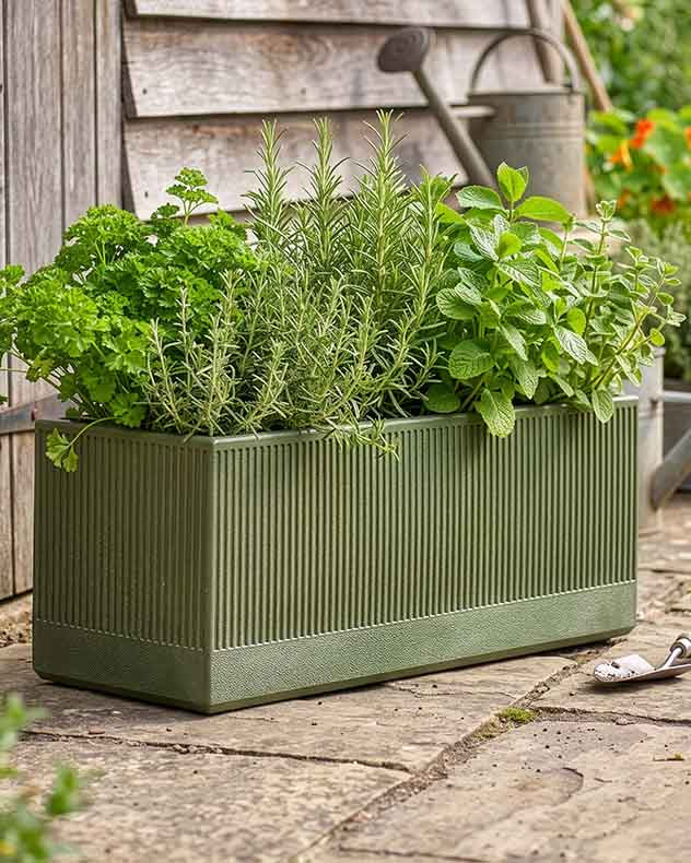 Mela Green Fibreclay Planter Collection