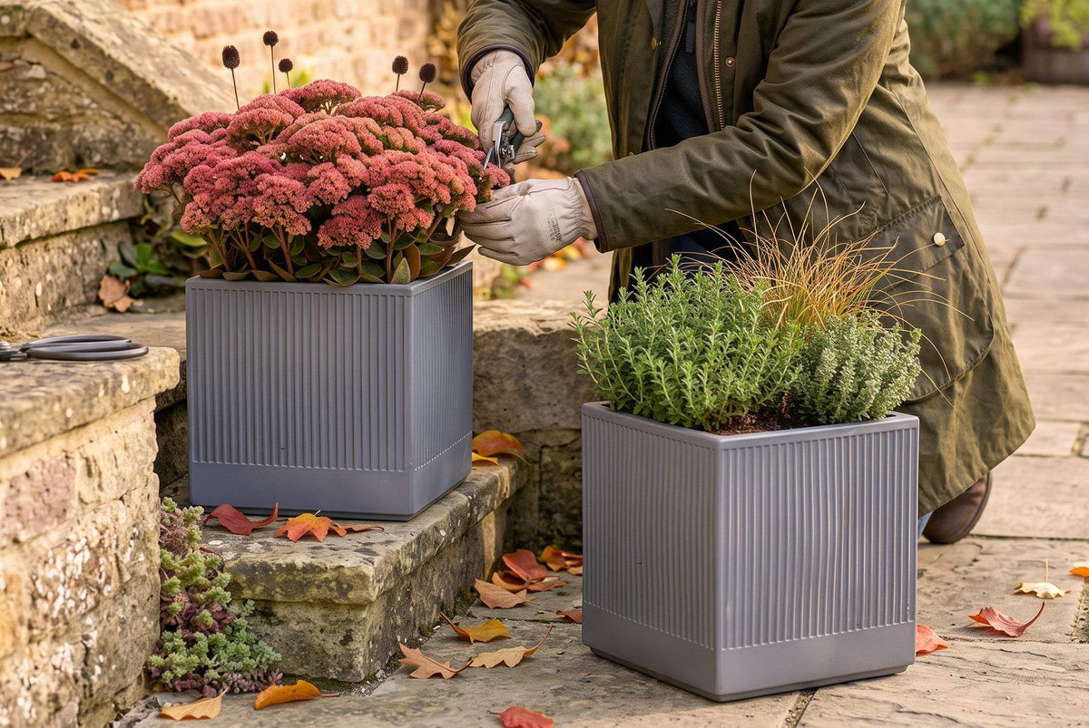 Pots and planters