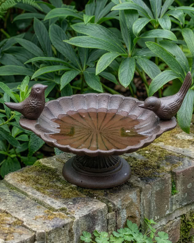 Cast Iron Antique Brown Bird Bath