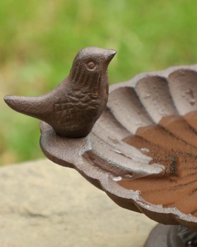 Cast Iron Antique Brown Bird Bath