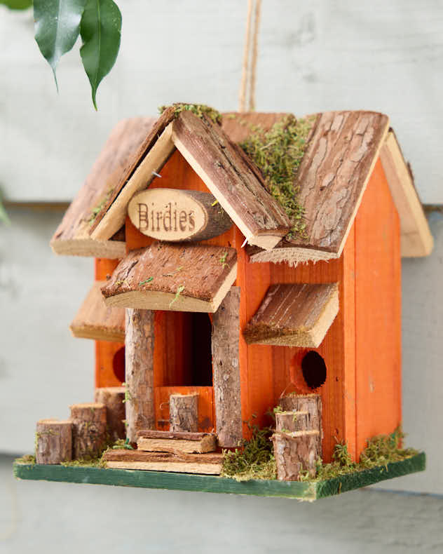 Birdies Orange Bird Cottage
