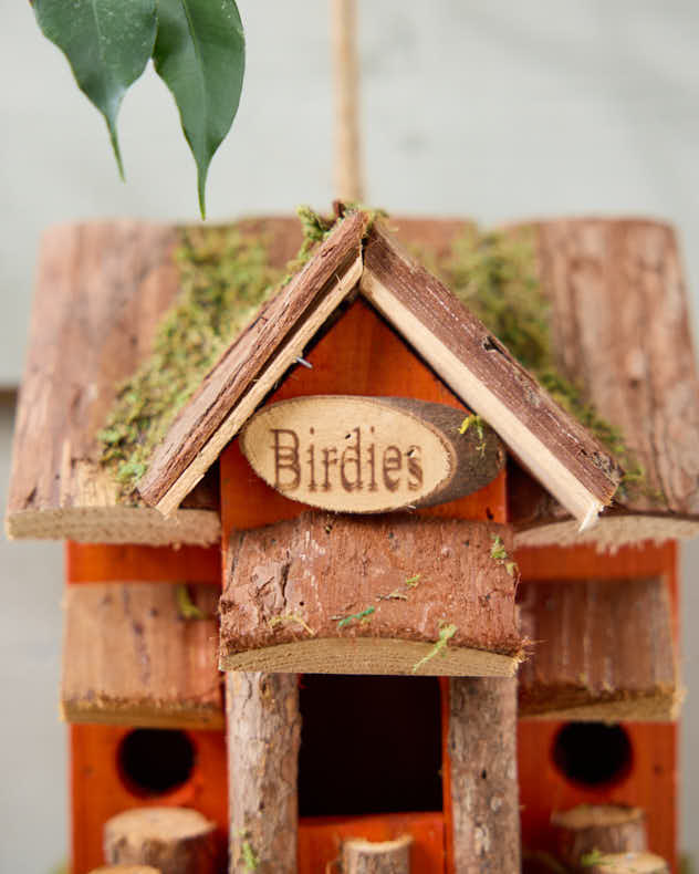 Birdies Orange Bird Cottage