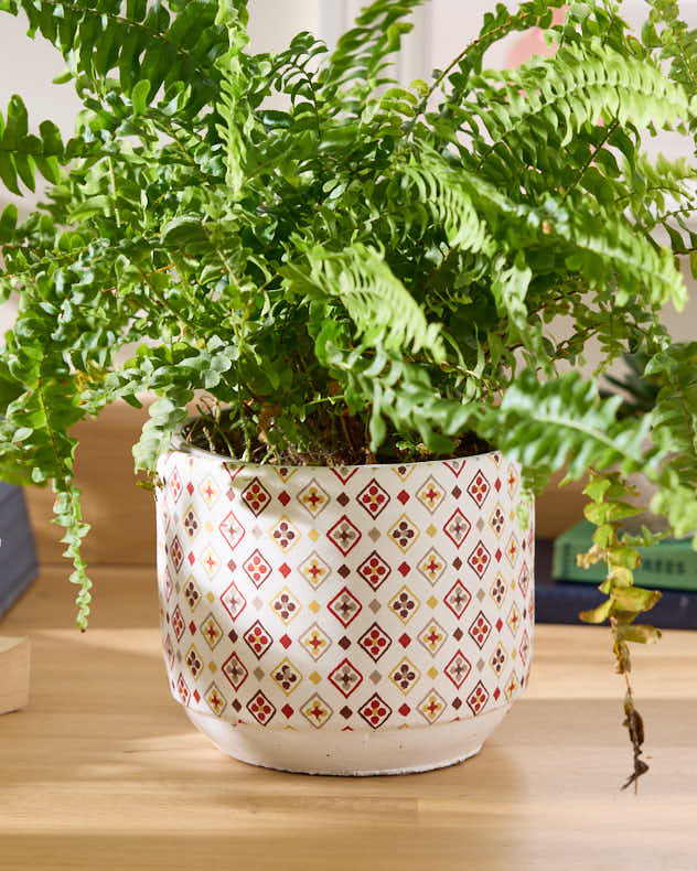 Diamond Mosaic Ceramic Planter