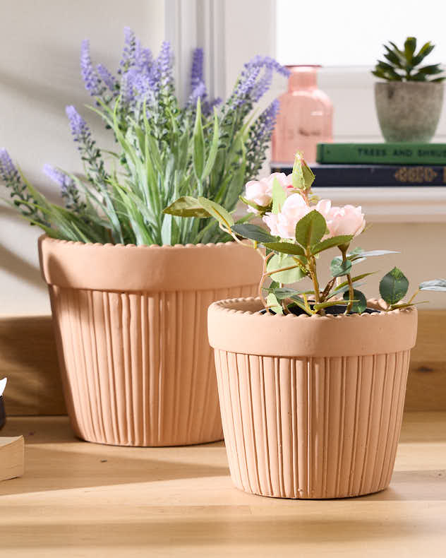 Terracotta Houseplant Pots