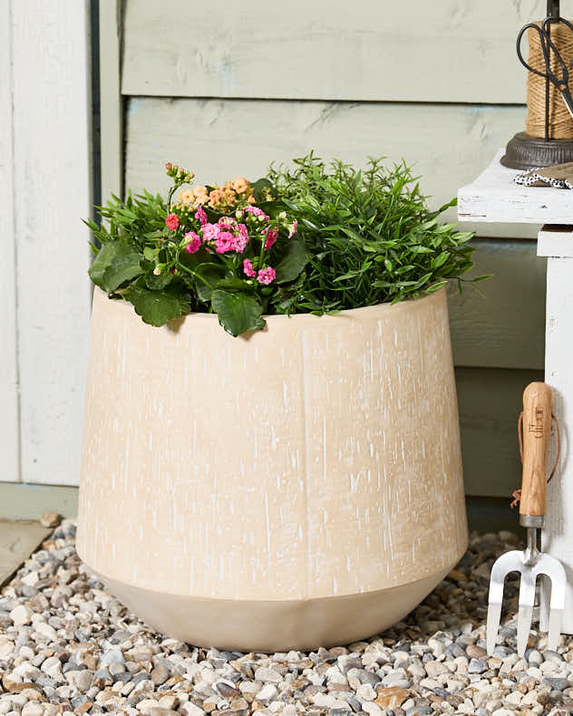 Large Beige Round Terracotta Plant Pot