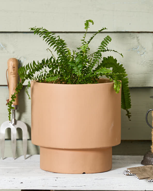 Small Earth Brown Terracotta Plant Pot