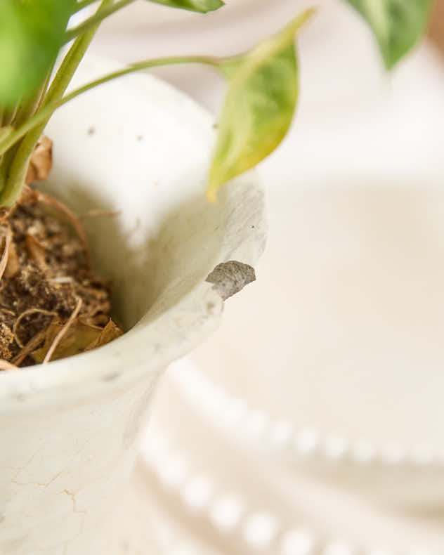 Chipped Ivory Pillar Stone Planter