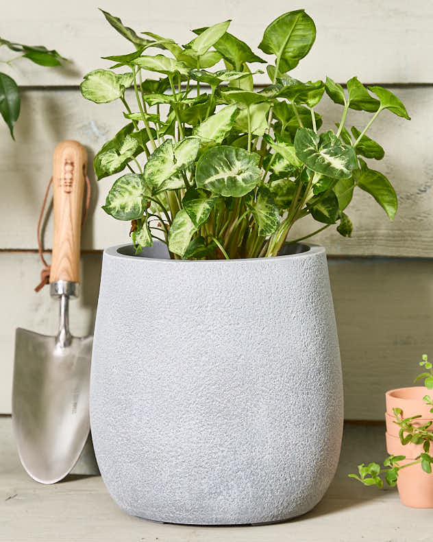 Grey Clay Textured Plant Pot