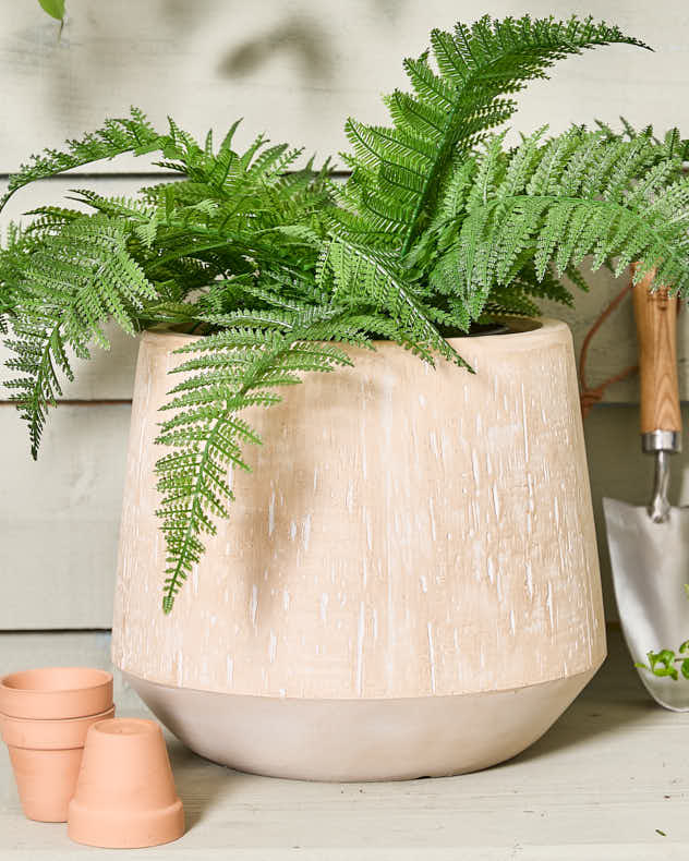 Beige Round Terracotta Plant Pot