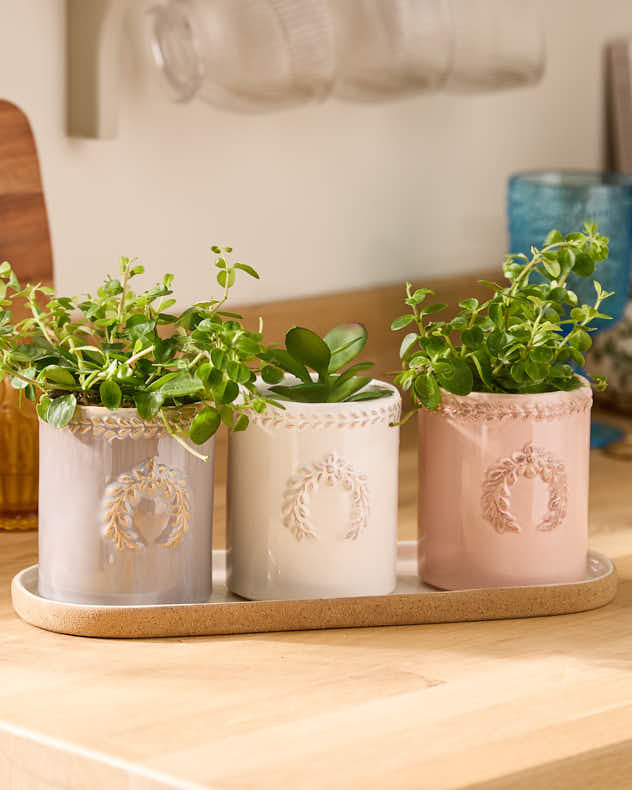 Spring Ceramic Glazed Plant Pot Set