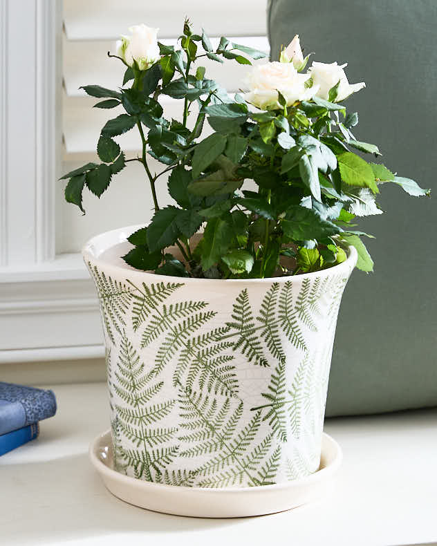 Forest Fern Leaf Planter with Tray