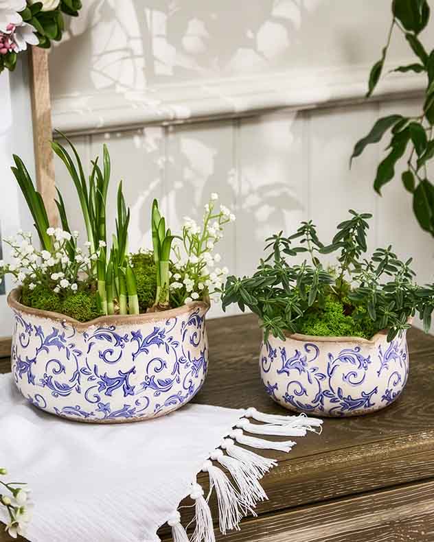 Botanical Set of 2 Planters