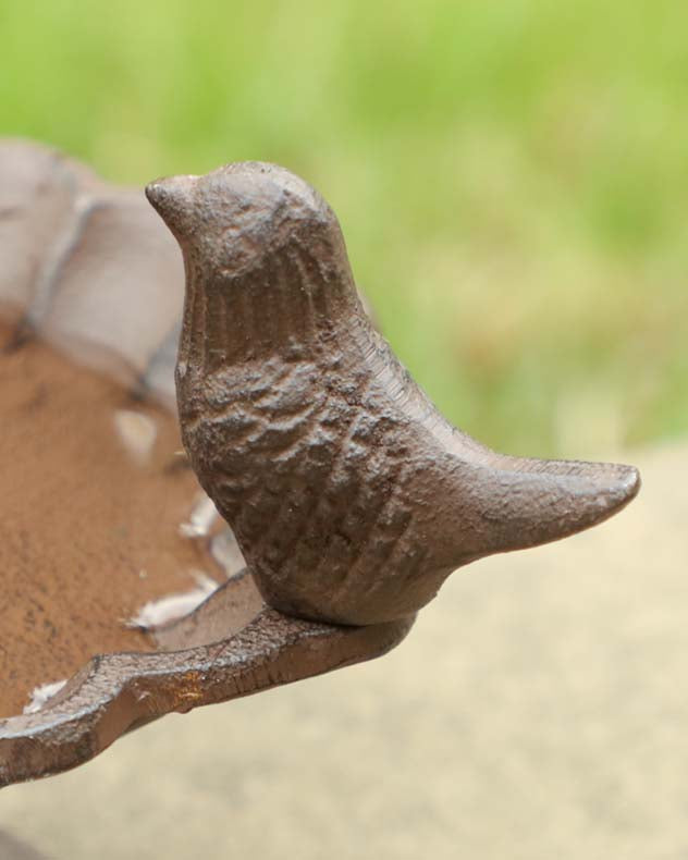 Cottage Garden Bird Bath