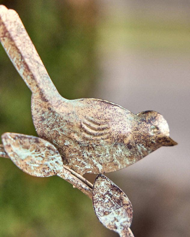 Bird Feeders - Hanging Heart Garden Bird Feeder