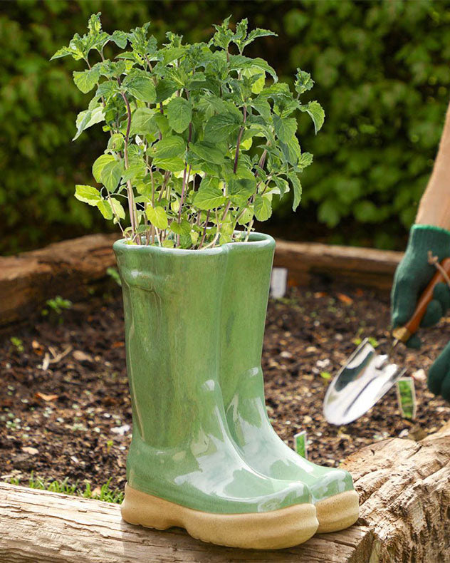 Grande collection de jardinières pour bottes Wellington