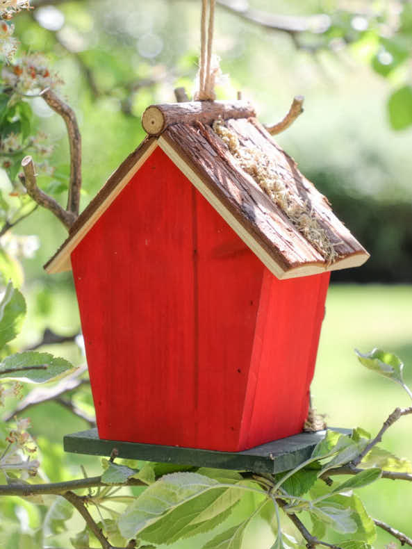 Robin Red Country Heart Bird House