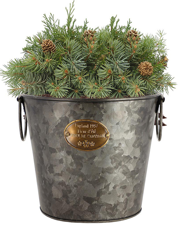 Aged Zinc English Country Planter Bucket