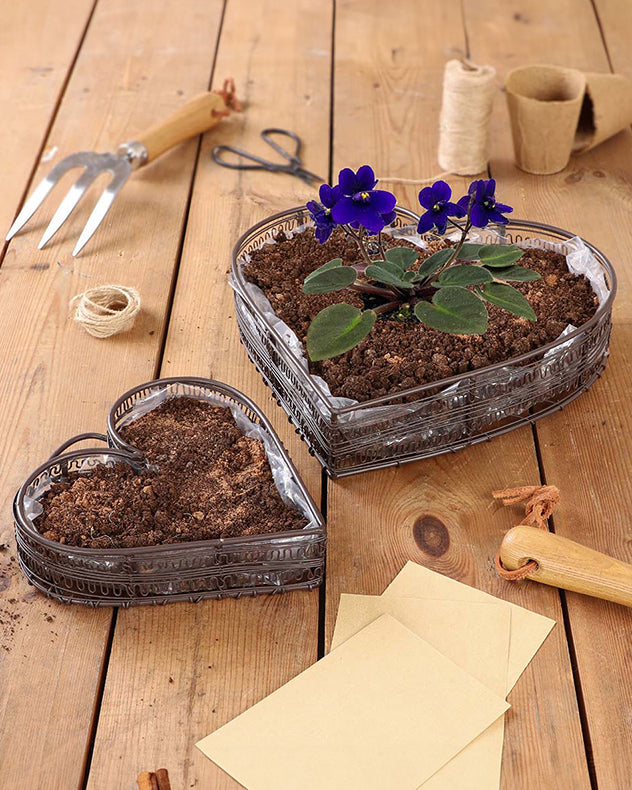 Set of 2 Seedling Flower Pot Planter Baskets