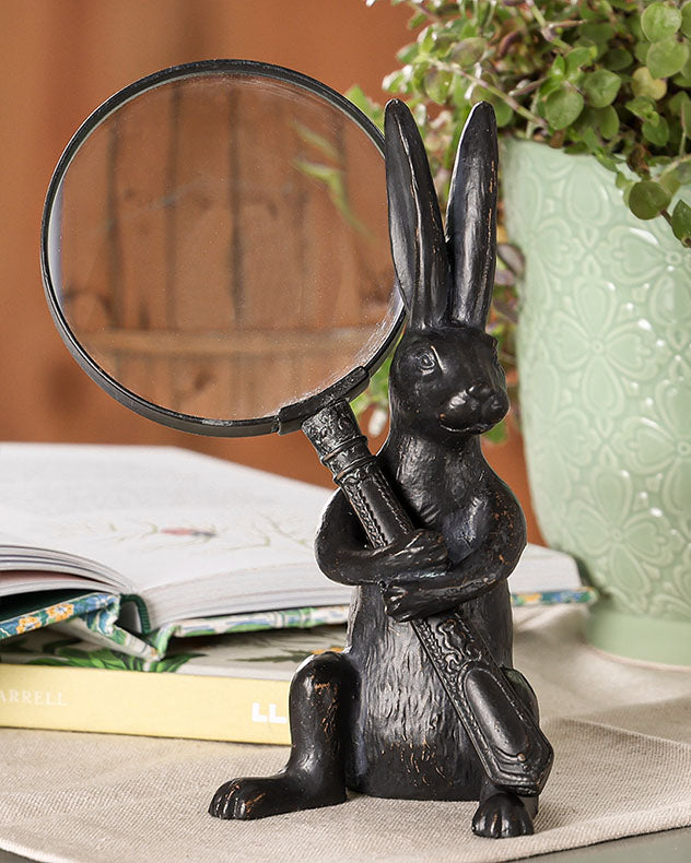 Mr Rabbit Magnifying Glass