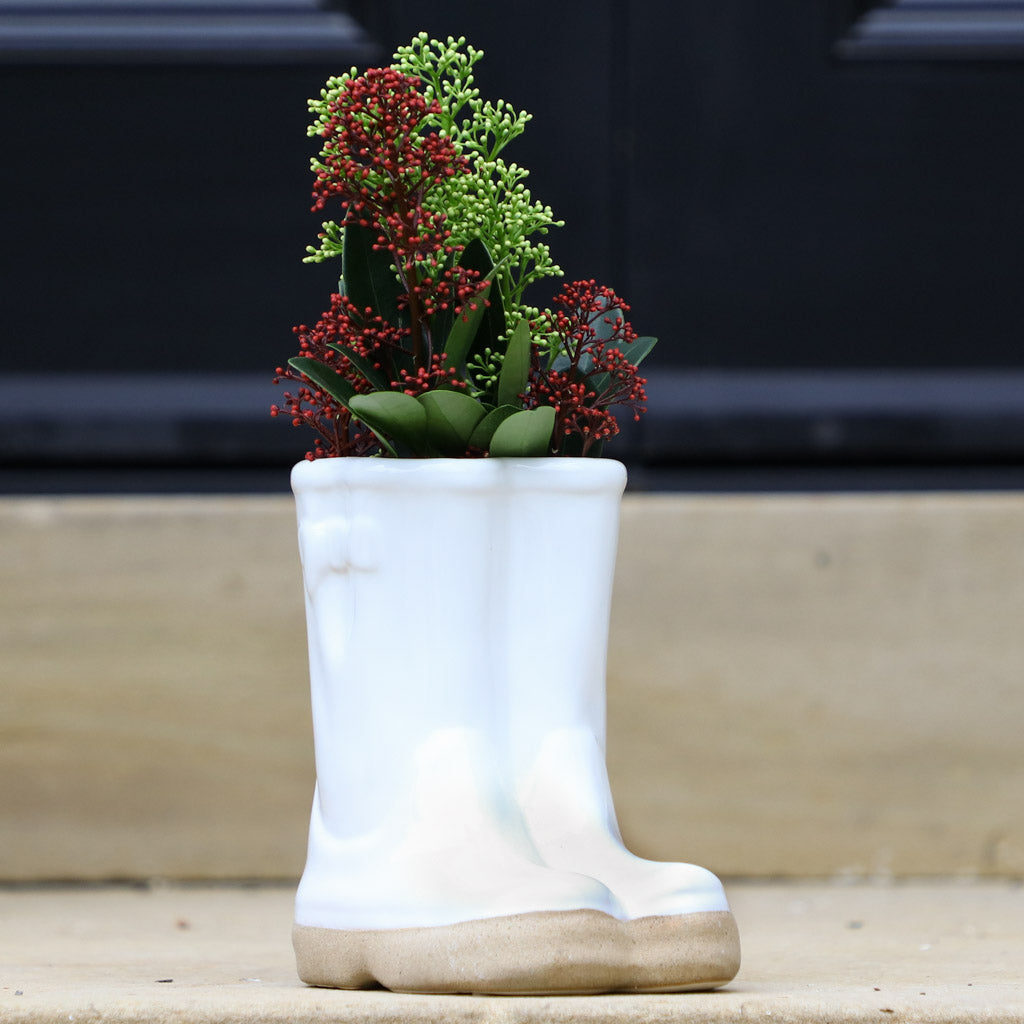 Rainbow Wellington Boot Planter Collection