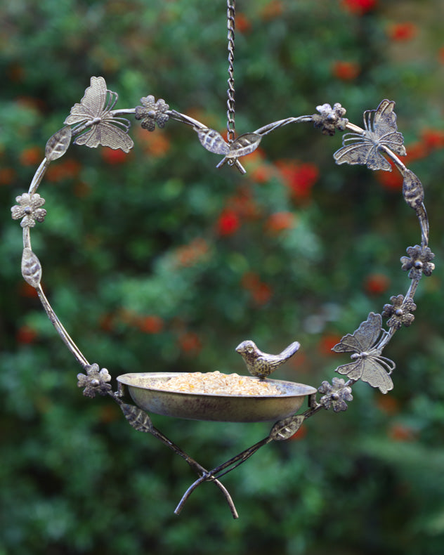 hanging bird feeder 