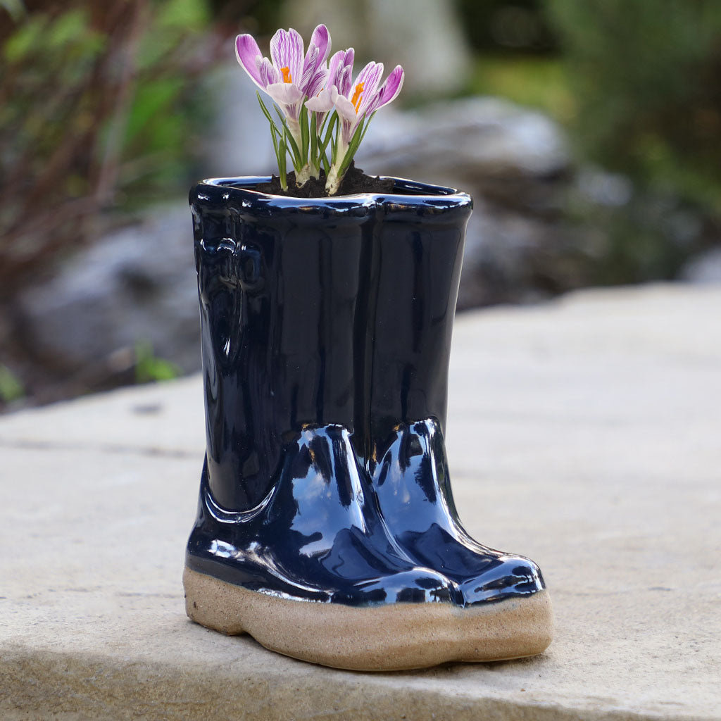 CR10-BlueWellingtonplanter-1-plant_4f7aed99-e1ea-4801-acd3-970bd3c8fc84