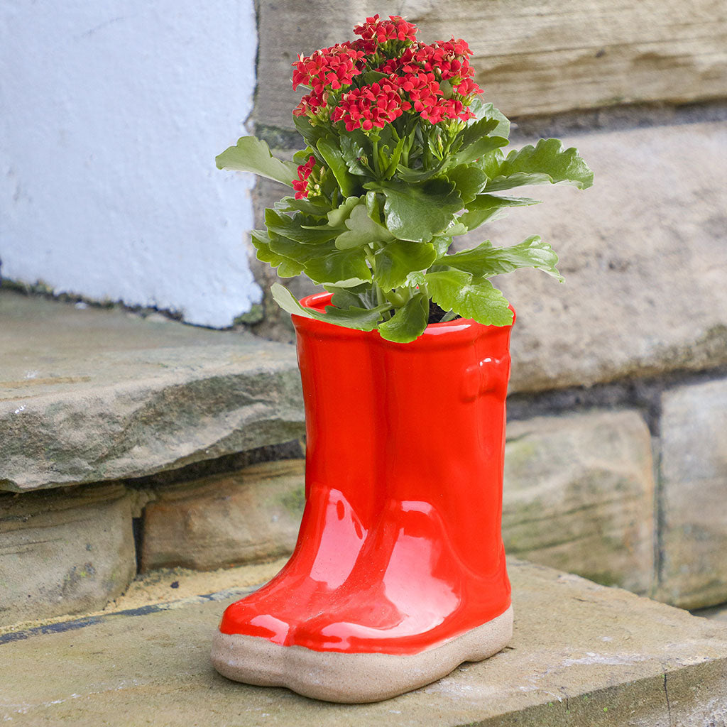 Rainbow Wellington Boot Planter Collection