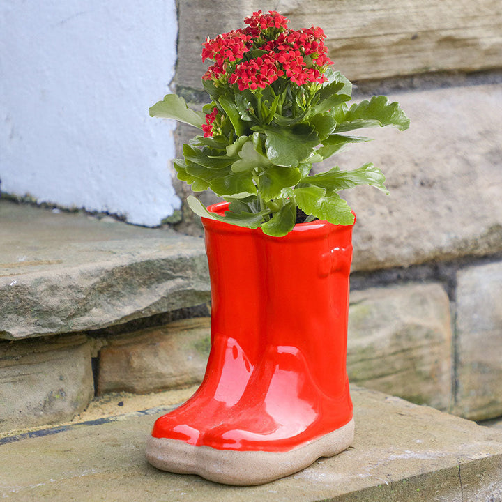 Rainbow Wellington Boot Planter Collection