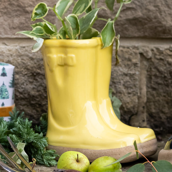 Rainbow Wellington Boot Planter Collection