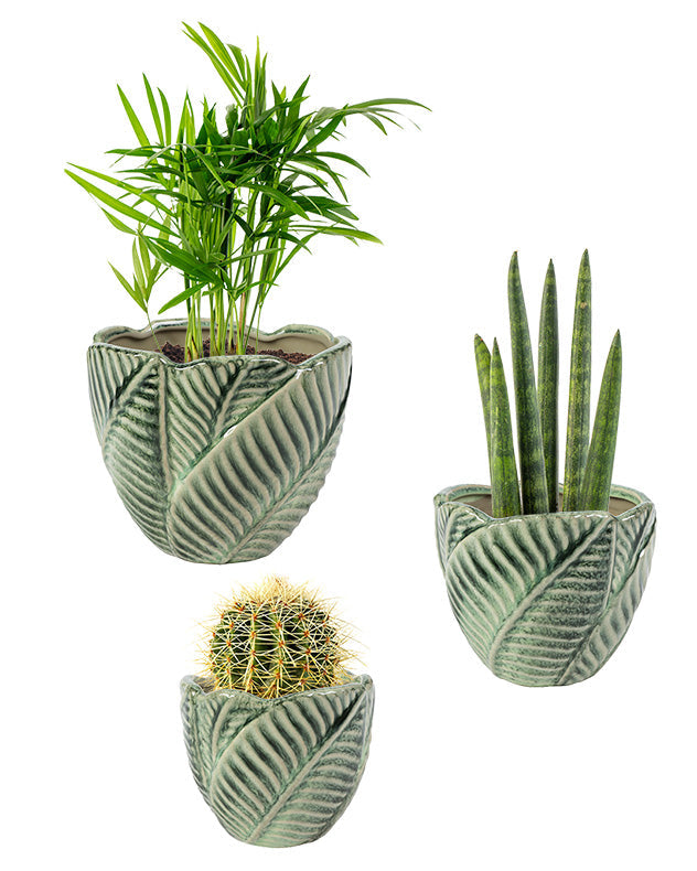 set of 3 hand-painted indoor plant pots