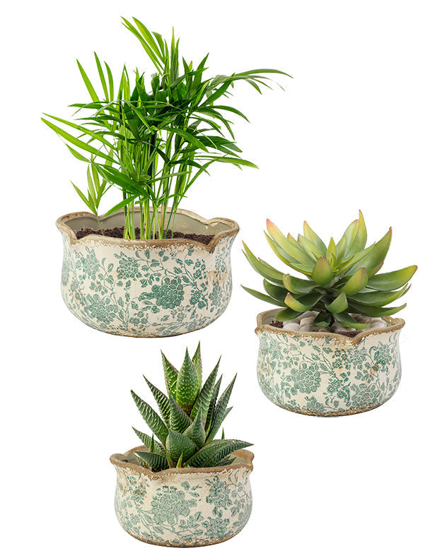 Set Of Three Floral Field Ceramic Planters
