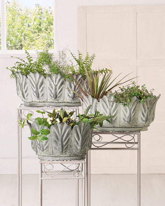 3 botanic green planters